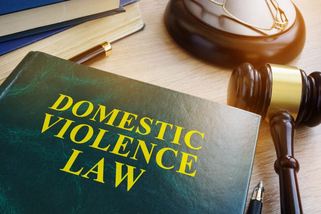 Domestic Violence Law was changed in Nevada